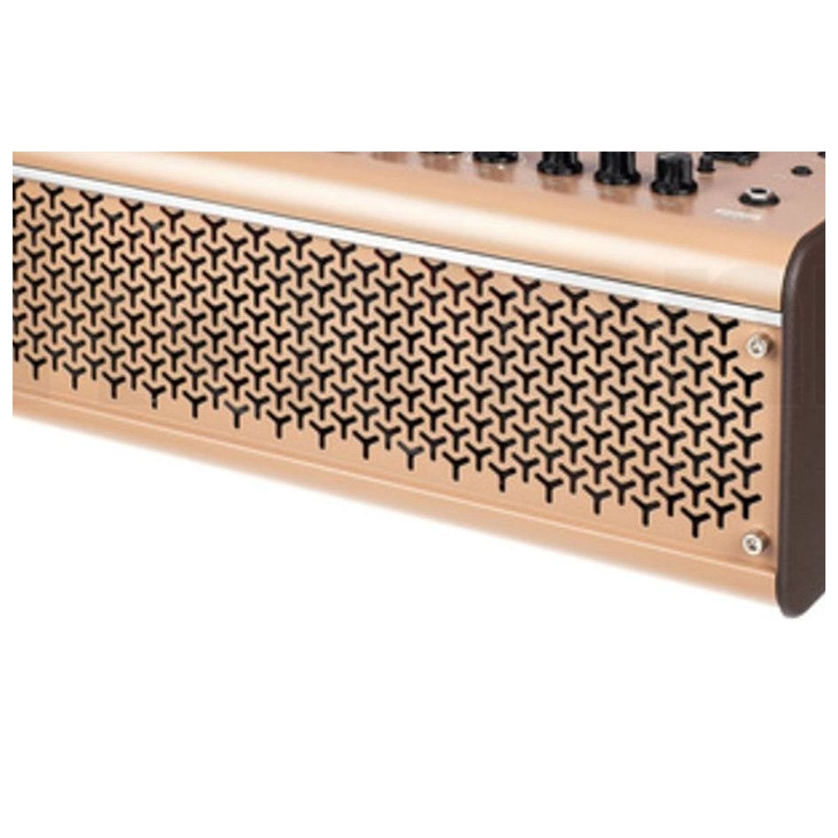 Amplificador Inalámbrico Yamaha THR30II Wireless para Guitarra Acústic detalle | Armonía Musical México