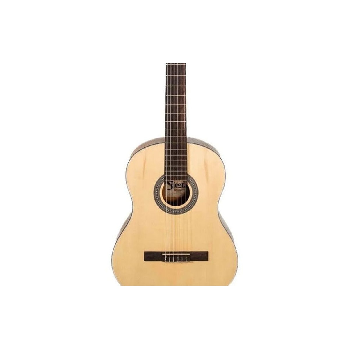 Guitarra Acústica Aria FST-C65 Serie Fiesta Natural detalle | Armonía Musical México