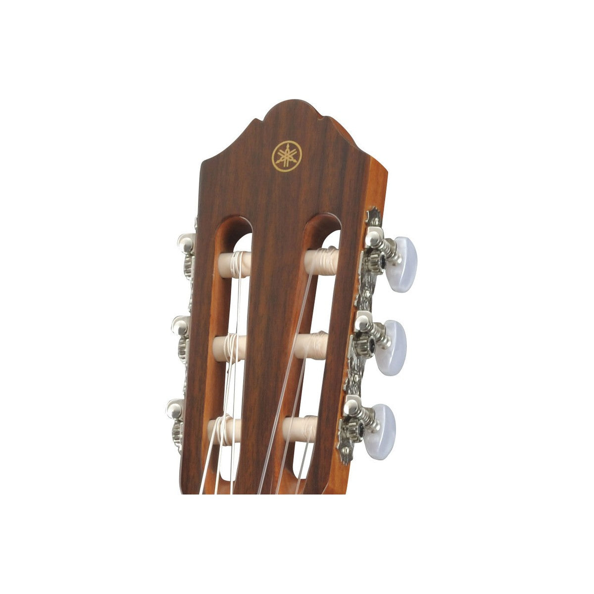 Guitarra clásica Yamaha CG142S tapa sólida abeto brillante detalle clavijero | Armonía Musical México
