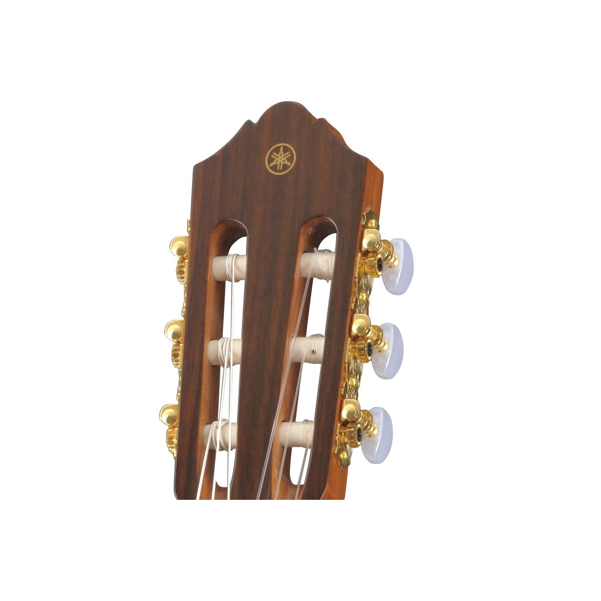 Guitarra clásica Yamaha CG162S tapa sólida abeto ovangkol detalle clavijero dorado | Armonía Musical México