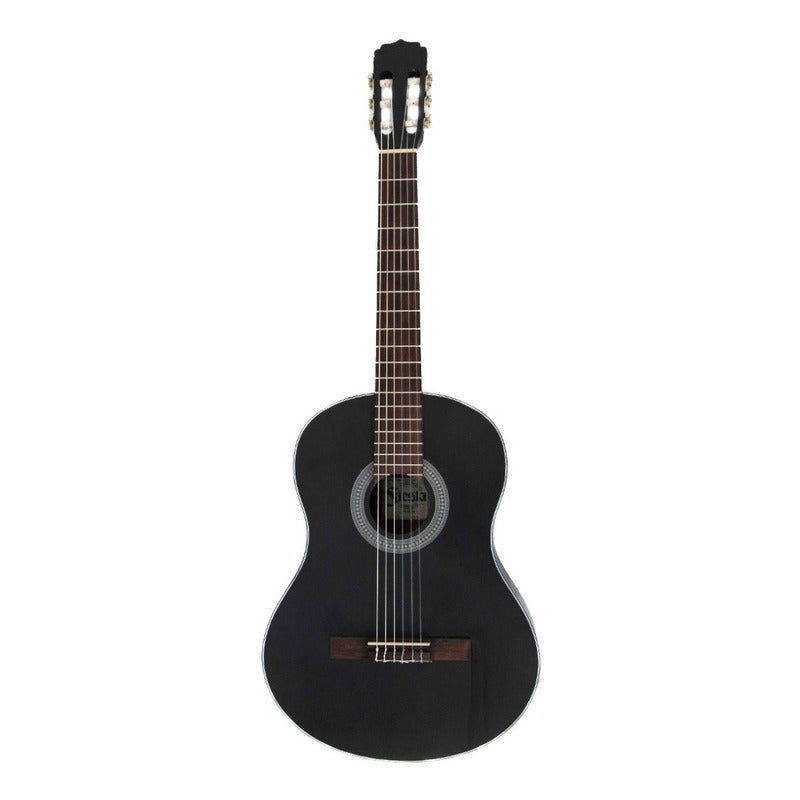 Guitarra Acustica Aria Fst-c65 Serie Fiesta