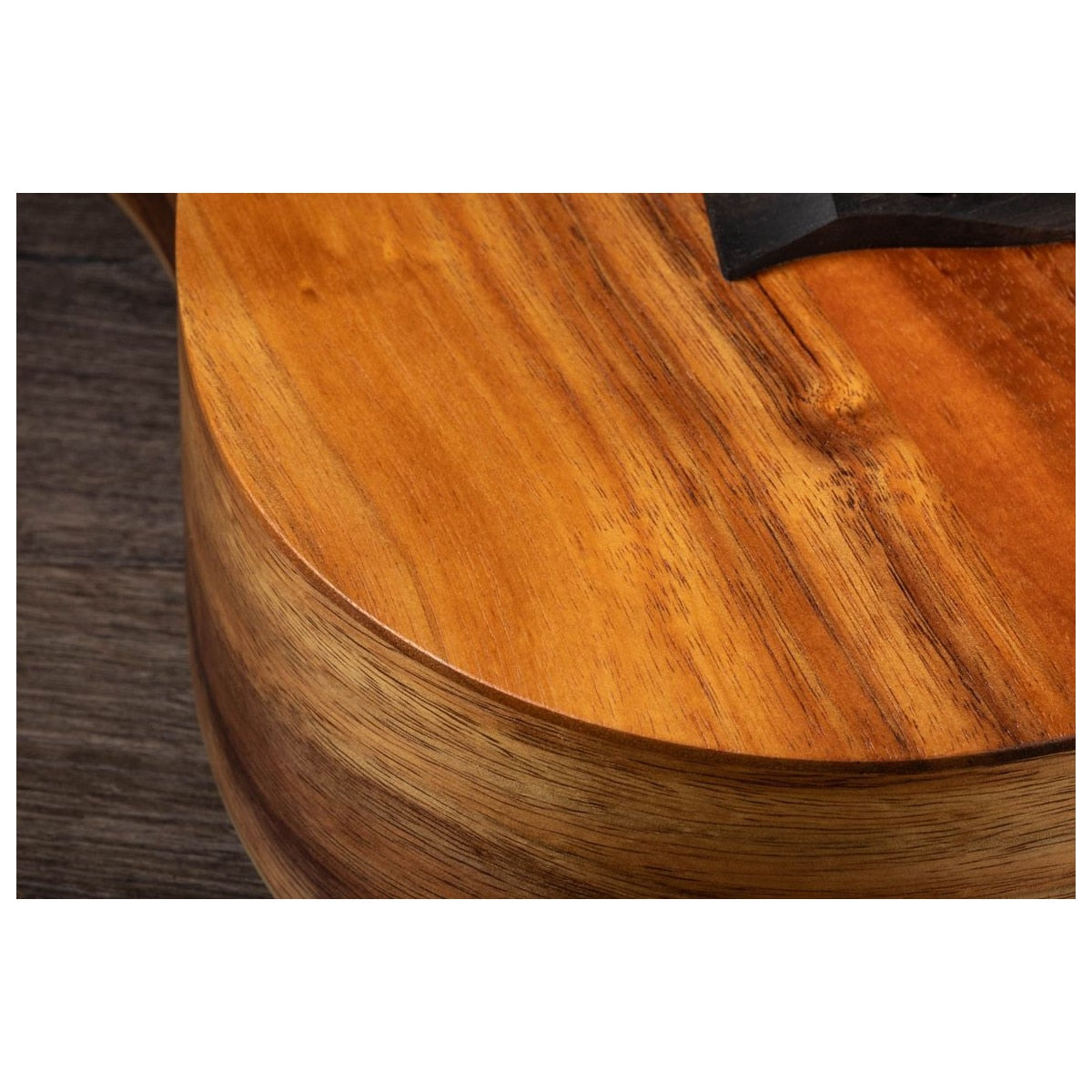 Taylor Guitars BTe Koa vista trasera – Guitarras Electroacústicas | Armonía Musical México