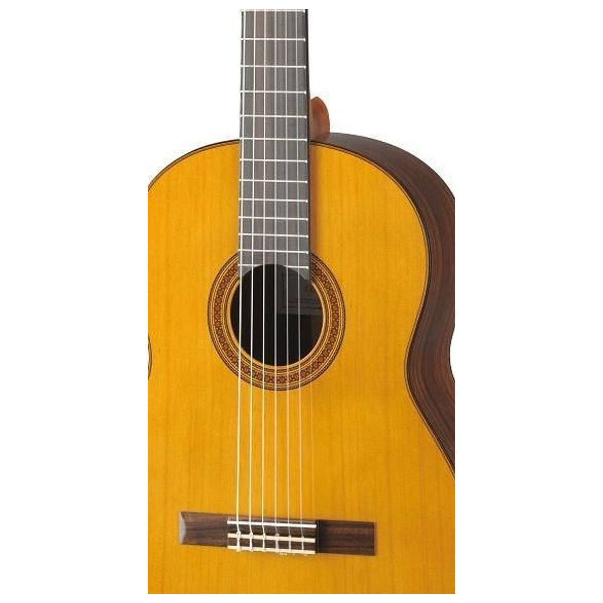 Guitarra Clásica Yamaha CG182C Tapa Sólida de Cedro y Palo de Rosa vista trasera | Armonía Musical México
