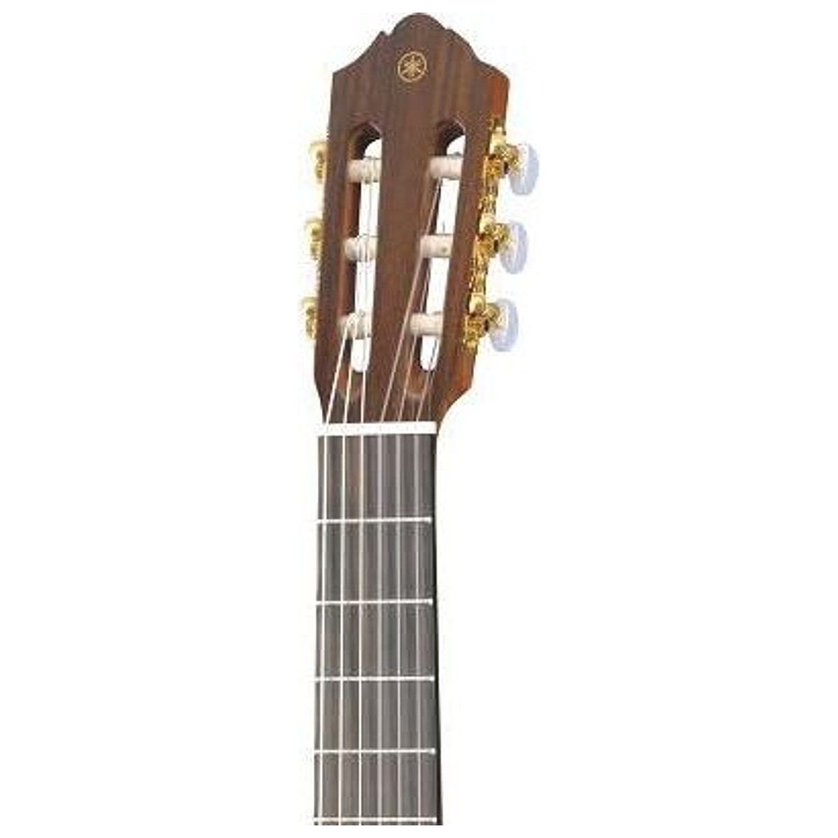 Guitarra Clásica Yamaha CG182C Tapa Sólida de Cedro y Palo de Rosa detalle cuerpo | Armonía Musical México