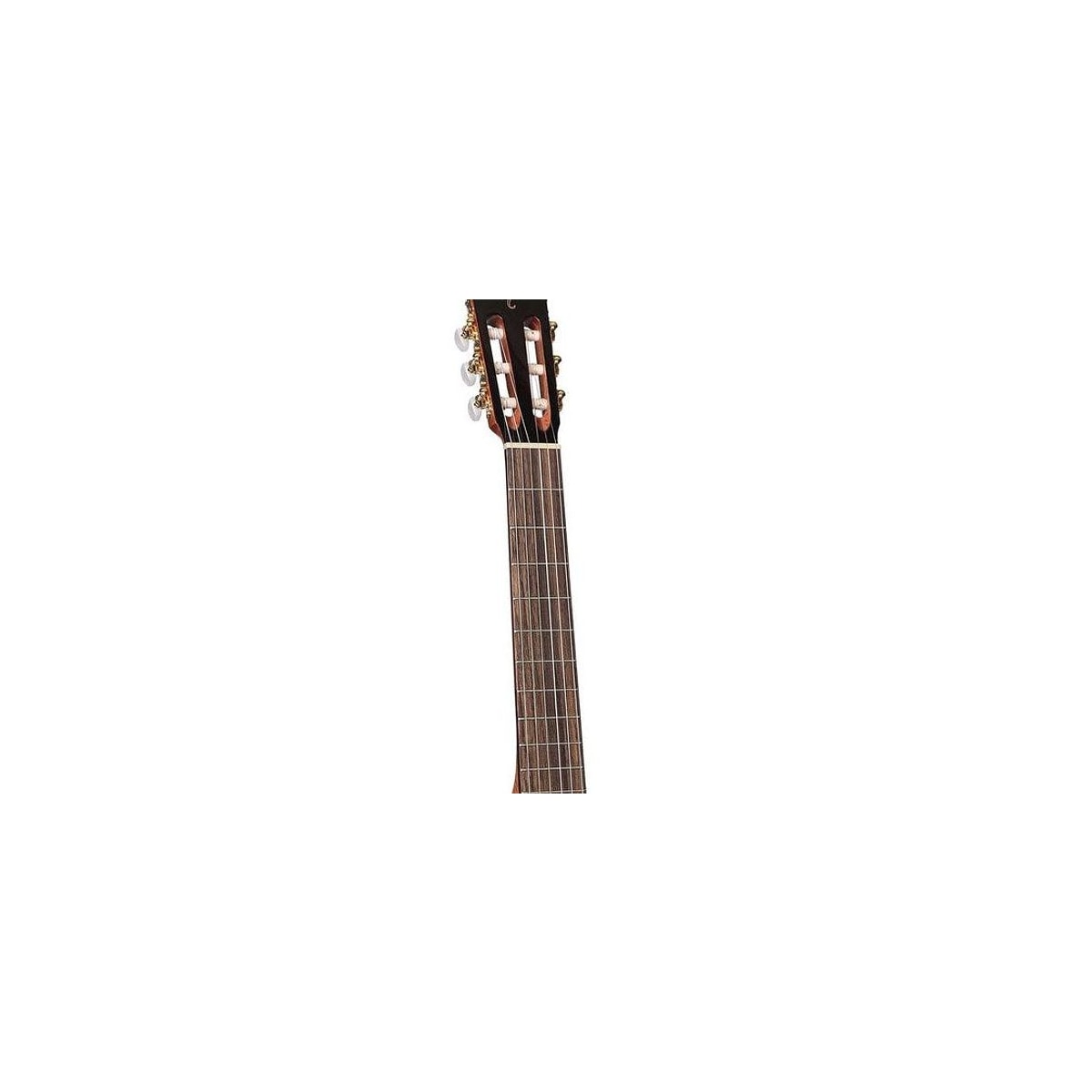 Takamine Guitars Guitarra Clásica Electroacústica Takamine GC5CE detalle 2 | Armonía Musical México