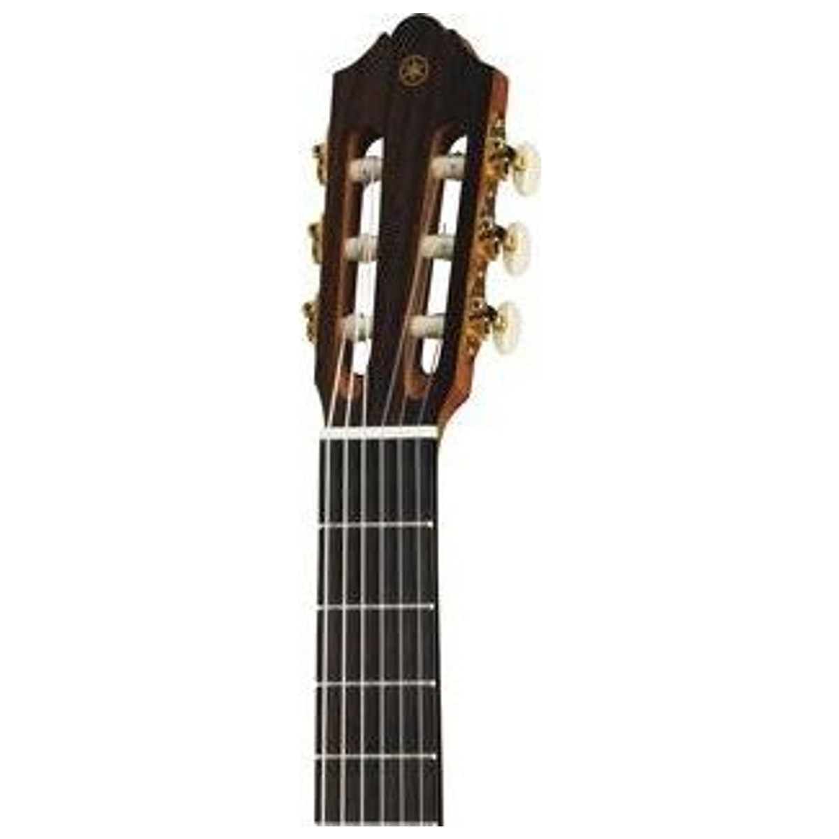 Guitarra Flamenca Yamaha CG182SF Tapa Sólida de Abeto y Ciprés detalle cuerpo | Armonía Musical México