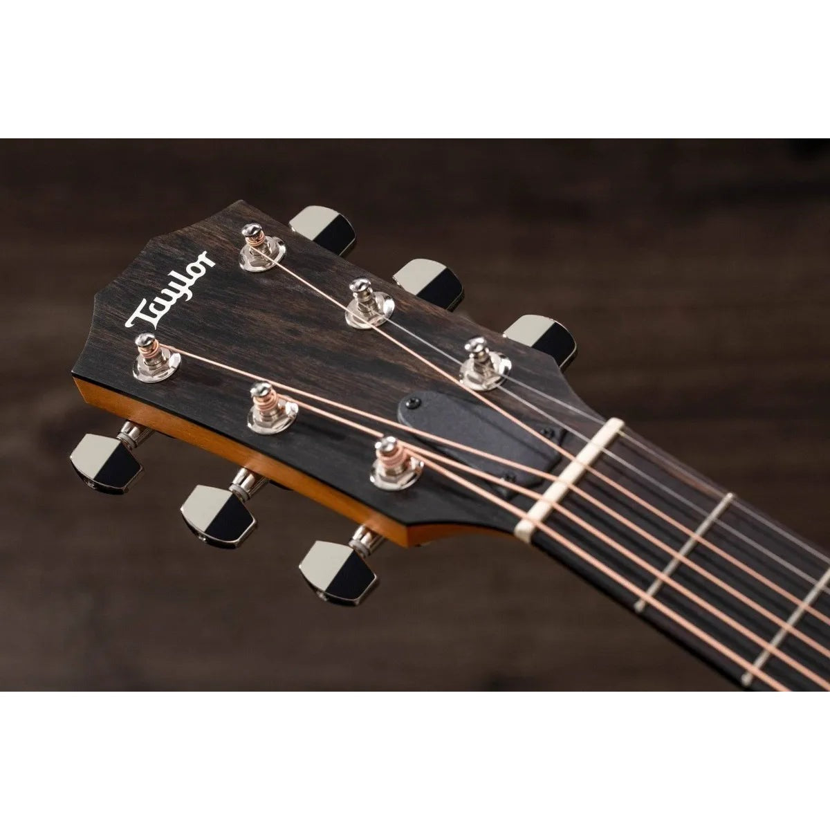 Taylor Guitars Guitarra Acústica Taylor 210ce Diestros Natural Satin vista 11 – Guitarras Acústicas | Armonía Musical México