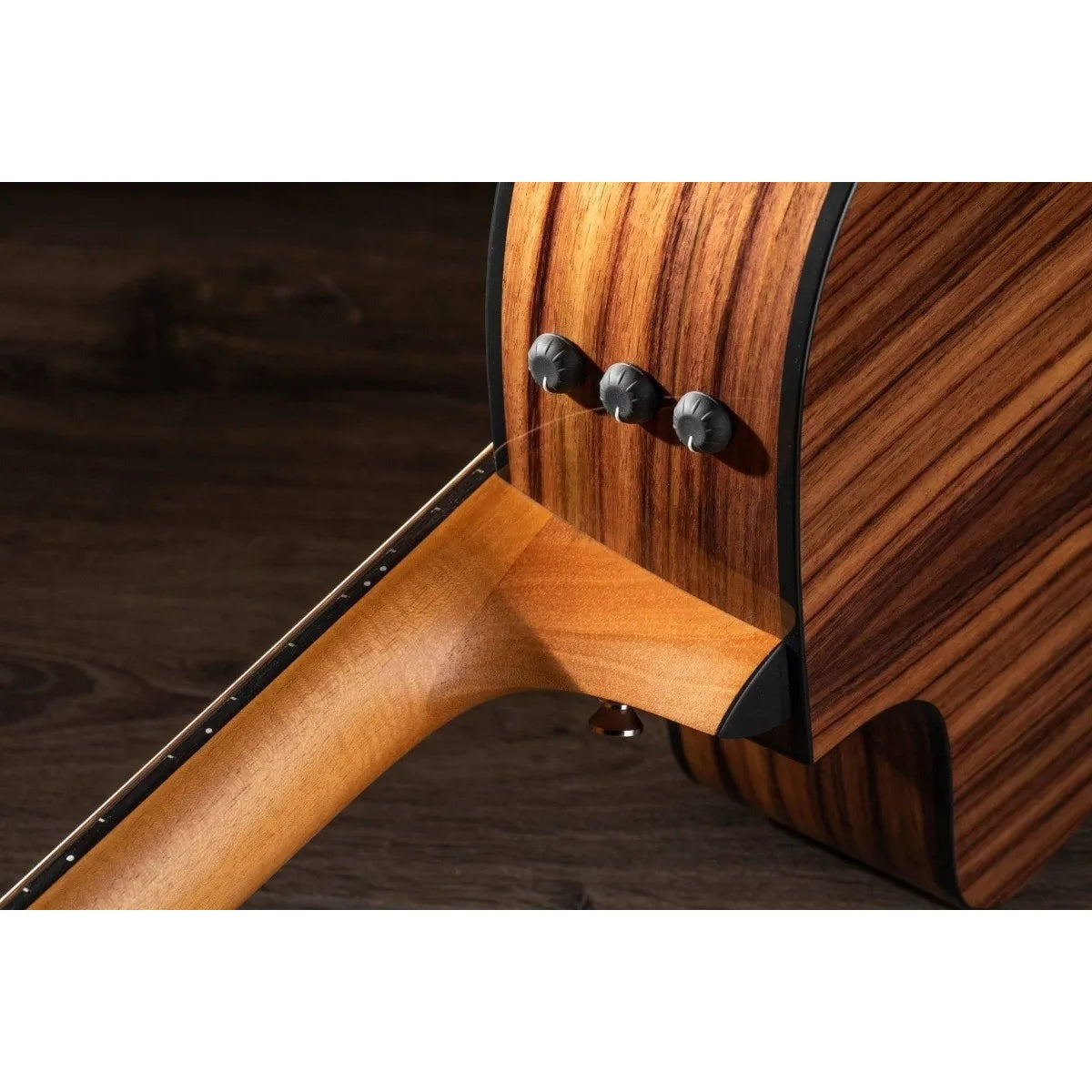 Taylor Guitars Guitarra Acústica Taylor 210ce Diestros Natural Satin vista 12 – Guitarras Acústicas | Armonía Musical México