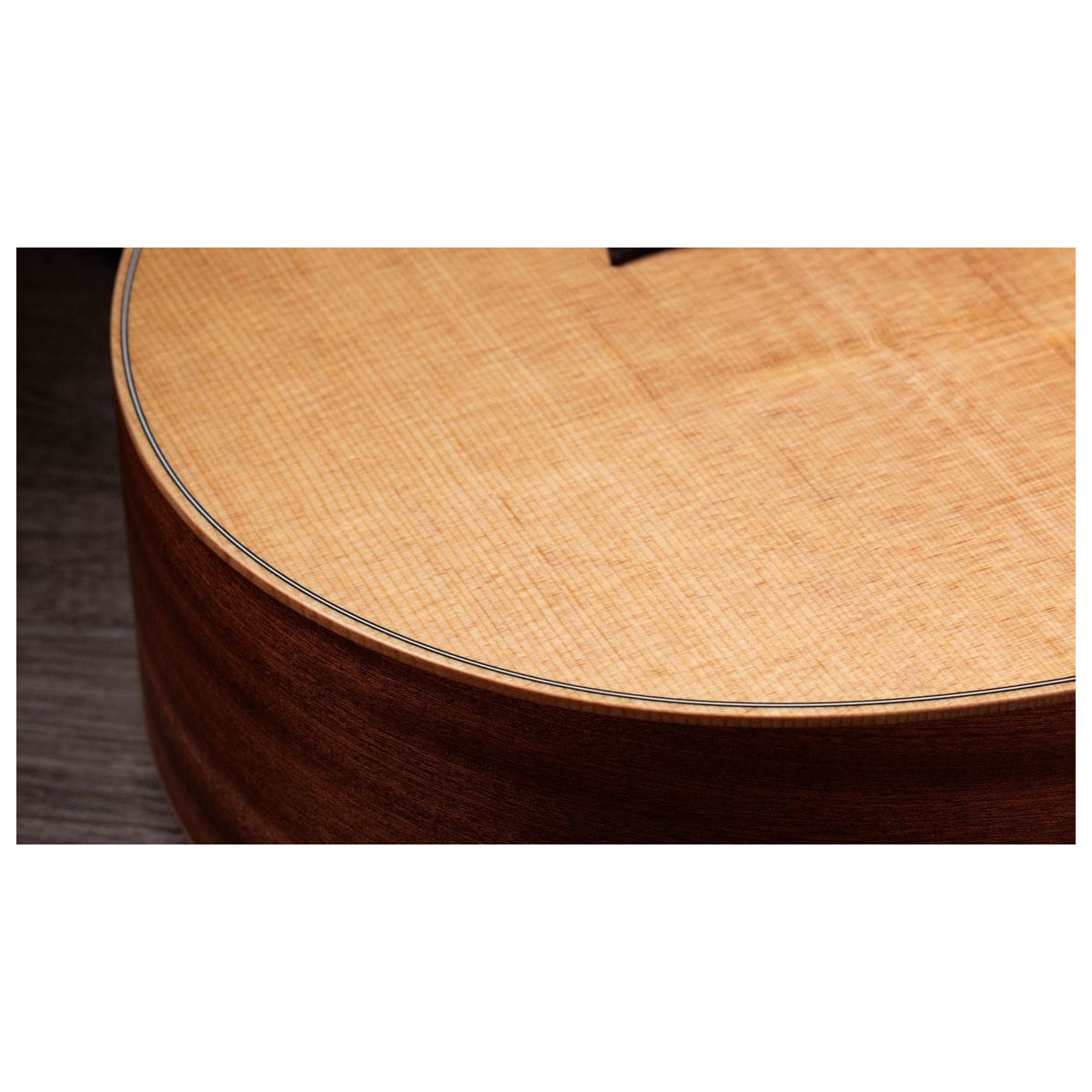 Taylor Guitars GS-Mini Sapele Sitka detalle tapa – Guitarras Acústicas | Armonía Musical México