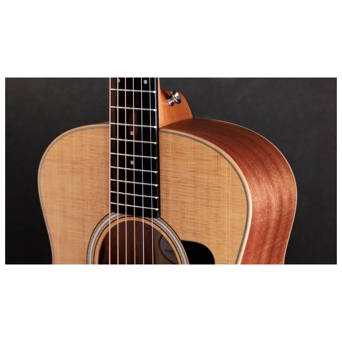 Taylor Guitars GS-Mini Sapele Sitka detalle cuerpo – Guitarras Acústicas | Armonía Musical México