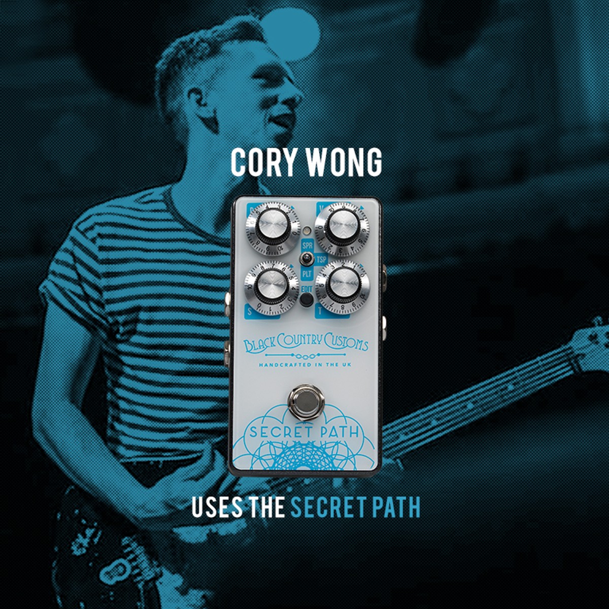 Laney BCC-SECRETPATH detalle – amplificador de guitarra | Armonía Musical México
