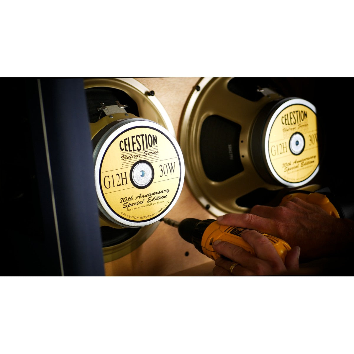 Laney LT212 detalle – gabinete de guitarra | Armonía Musical México