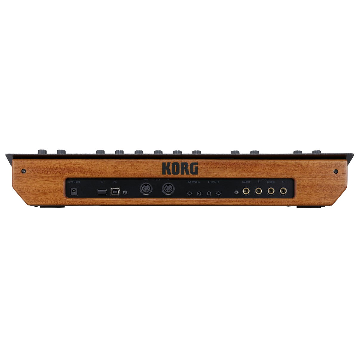 Korg minilogue xd module en uso | Armonía Musical México