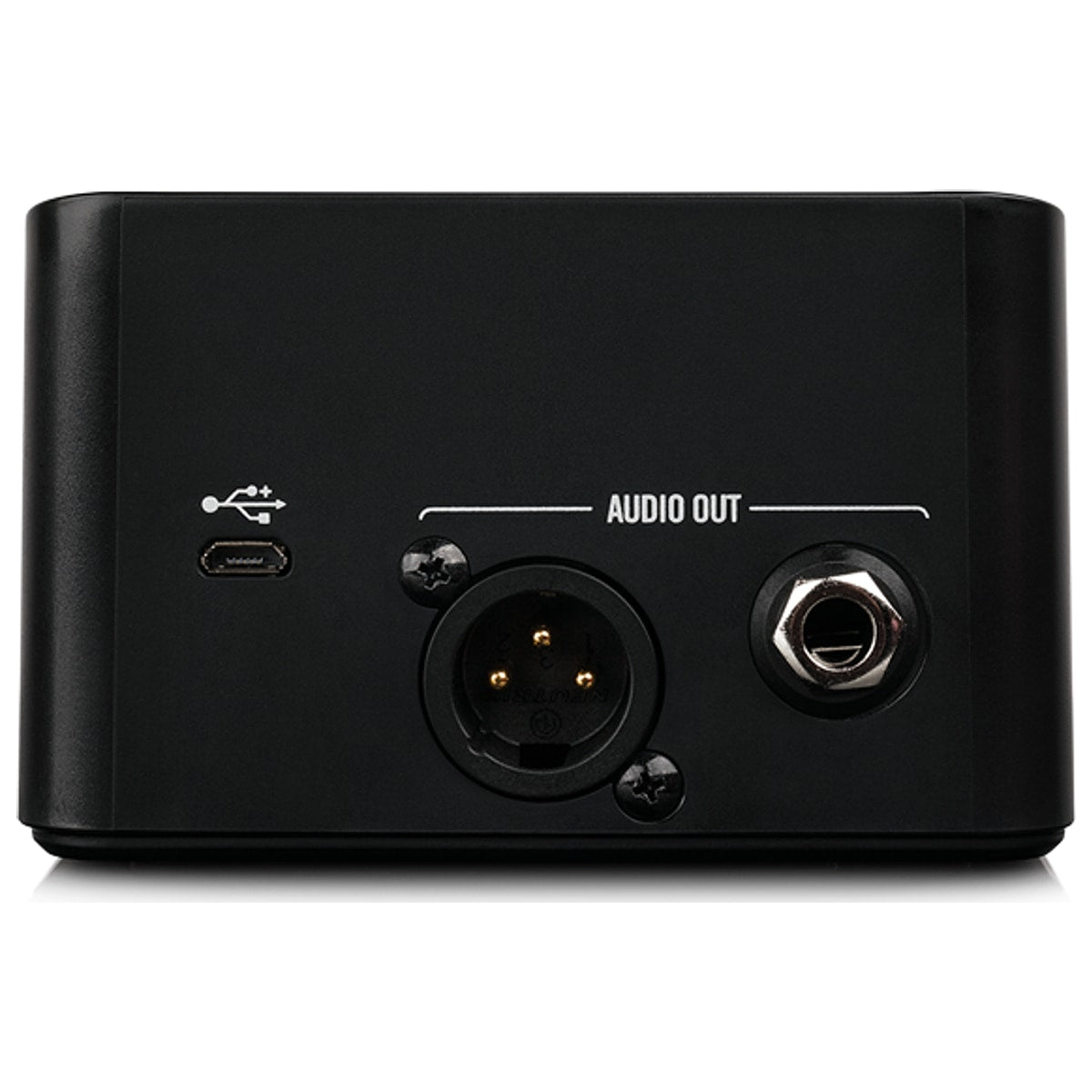 Line 6 Relay G10 vista trasera | Armonía Musical México