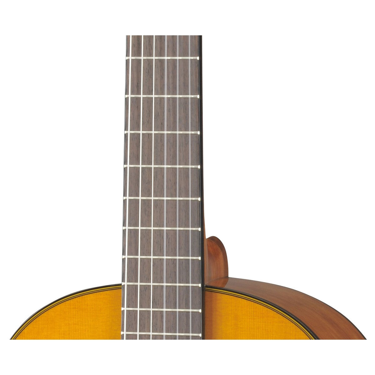 Guitarra clásica Yamaha CG142C tapa sólida cedro brillante detalle roseta | Armonía Musical México