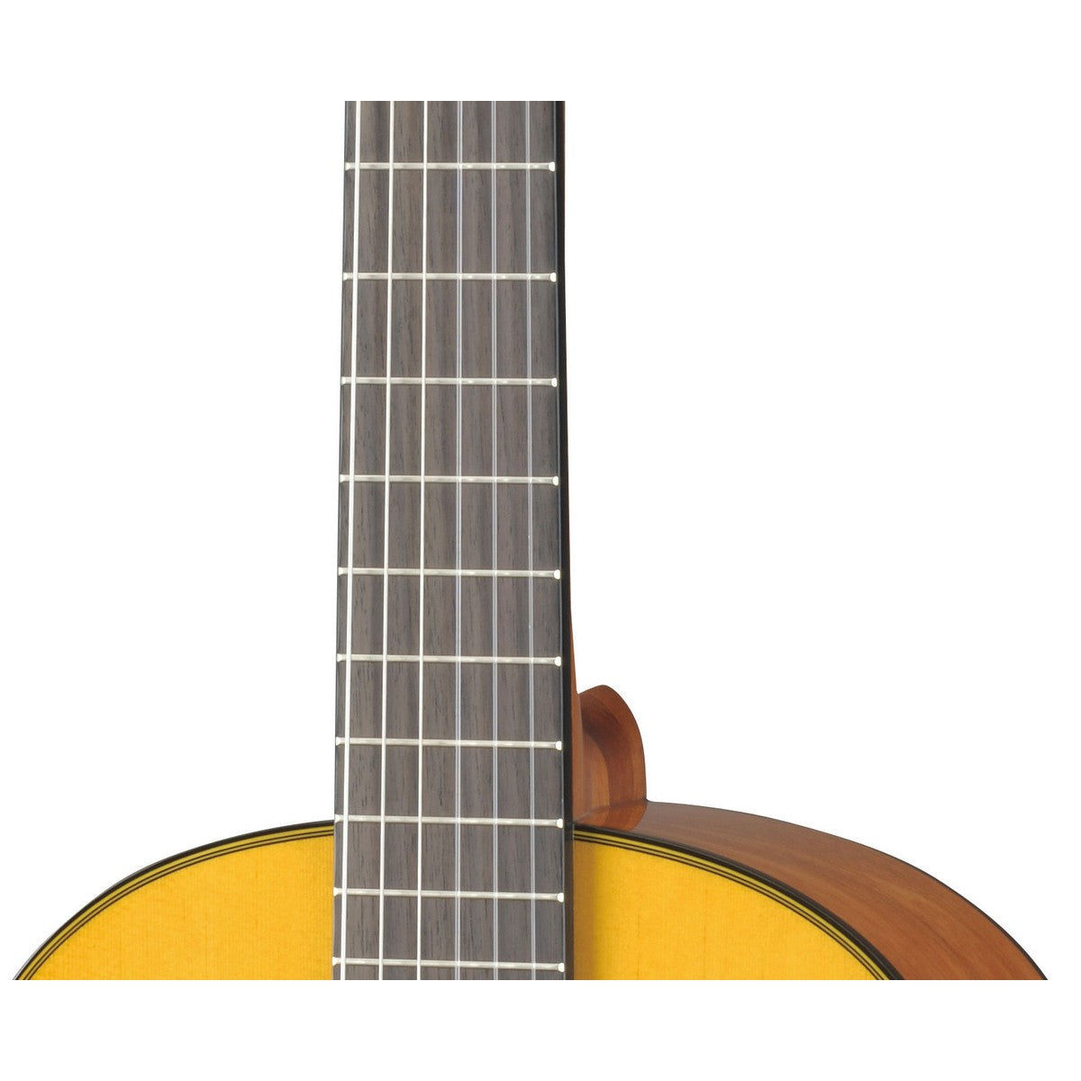 Guitarra clásica Yamaha CG142S tapa sólida abeto brillante detalle roseta | Armonía Musical México