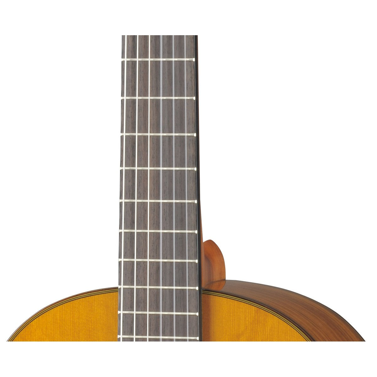 Guitarra clásica Yamaha CG162C tapa sólida cedro ovangkol detalle roseta | Armonía Musical México