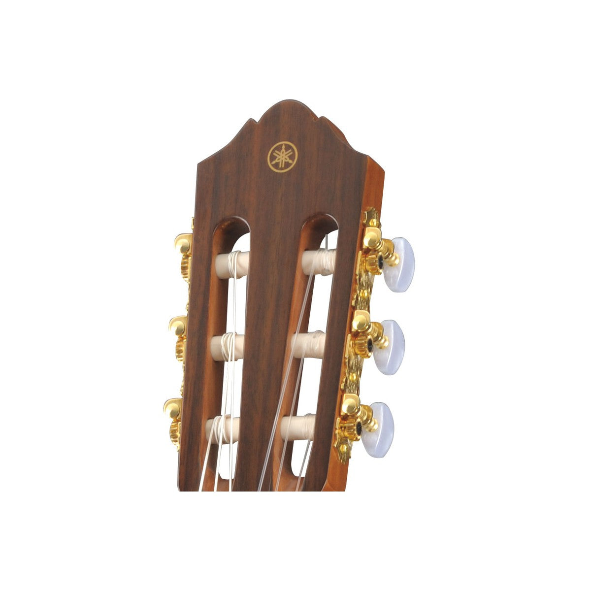 Guitarra clásica Yamaha CG162C tapa sólida cedro ovangkol detalle clavijero dorado | Armonía Musical México
