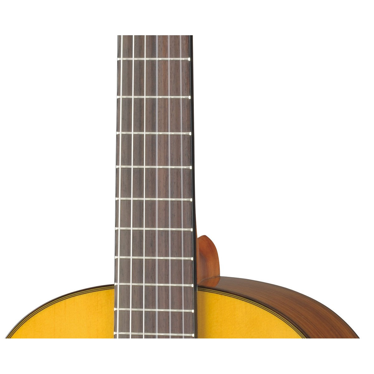 Guitarra clásica Yamaha CG162S tapa sólida abeto ovangkol detalle roseta | Armonía Musical México