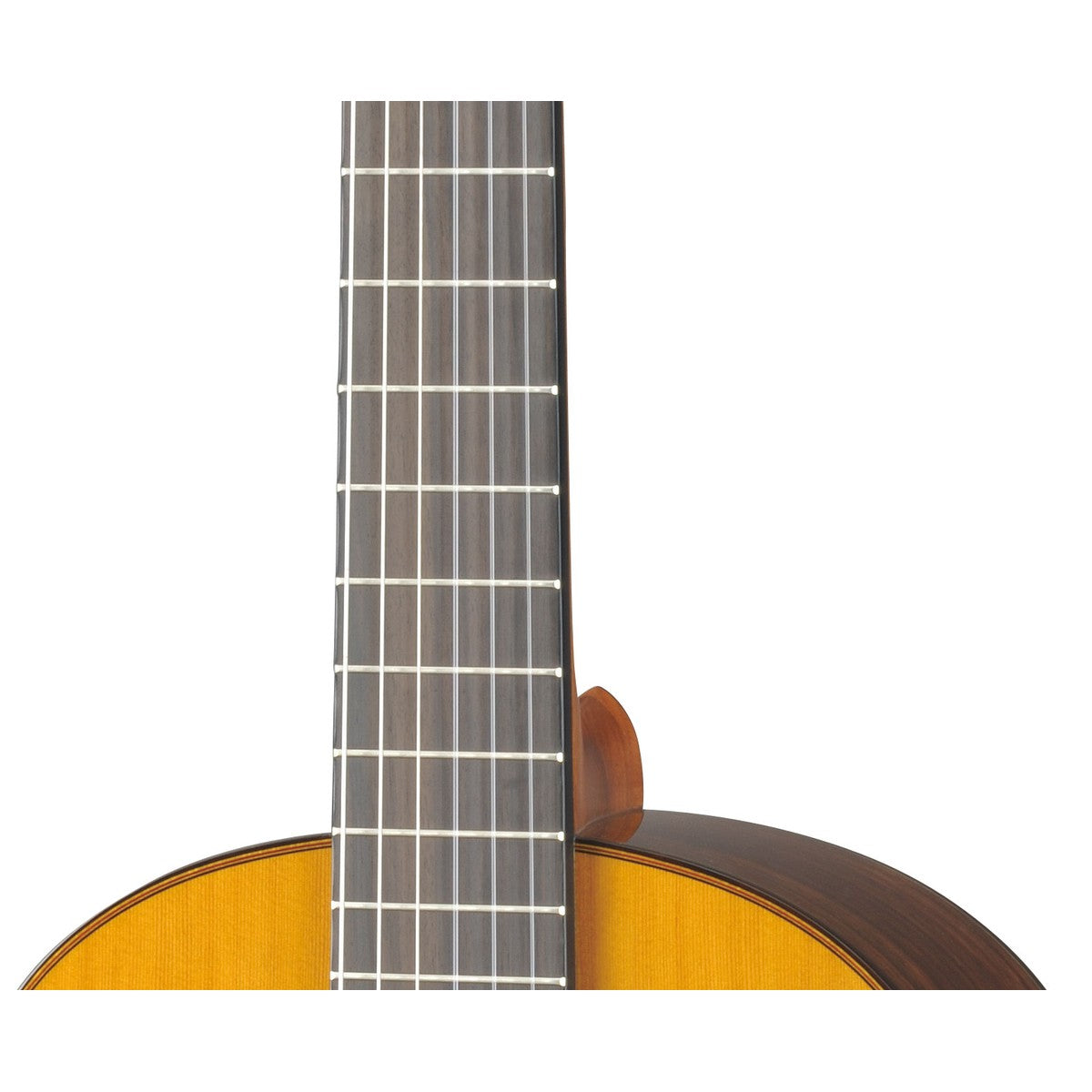Guitarra clásica Yamaha CG182C tapa sólida cedro palo de rosa detalle roseta | Armonía Musical México