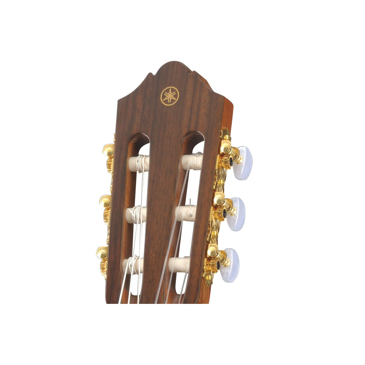 Guitarra clásica Yamaha CG182C tapa sólida cedro palo de rosa detalle clavijero dorado | Armonía Musical México