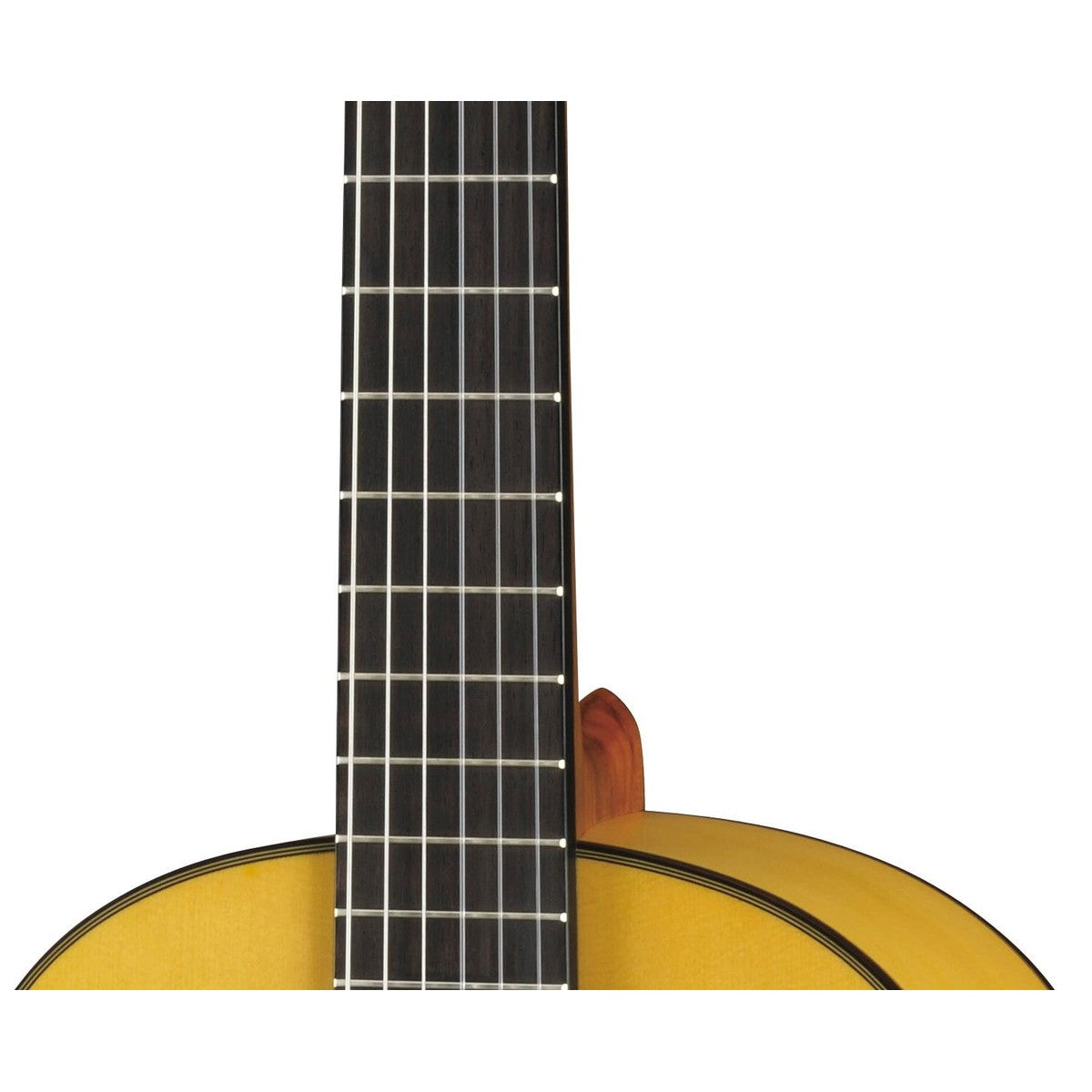 Guitarra flamenca Yamaha CG182SF tapa sólida abeto ciprés detalle roseta y golpeador transparente | Armonía Musical México