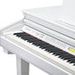 Piano De Cola Kurzweil Kag100 Acabado Brillante